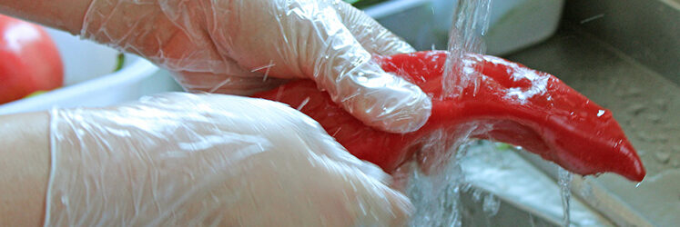 pvc-gloves.jpg